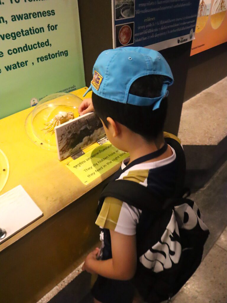 Finnway International School Phuket Aquarium