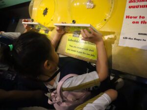 Finnway International School Phuket Aquarium