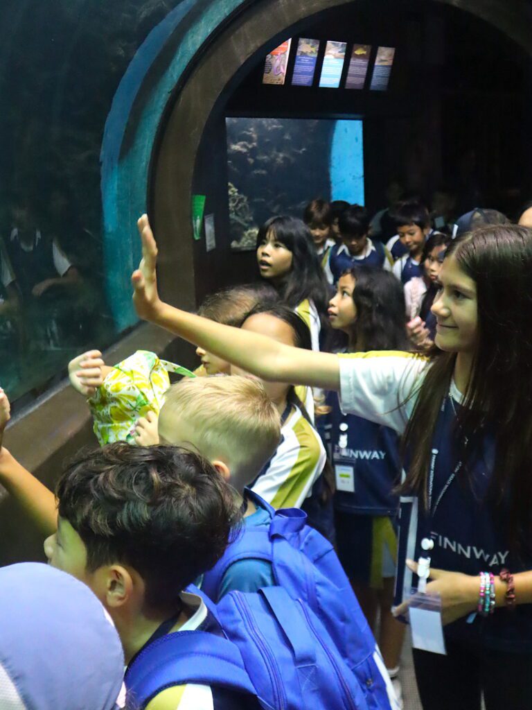 Finnway International School Phuket Aquarium