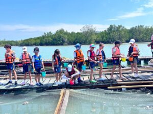 Primary Field Trip to Intara Farm