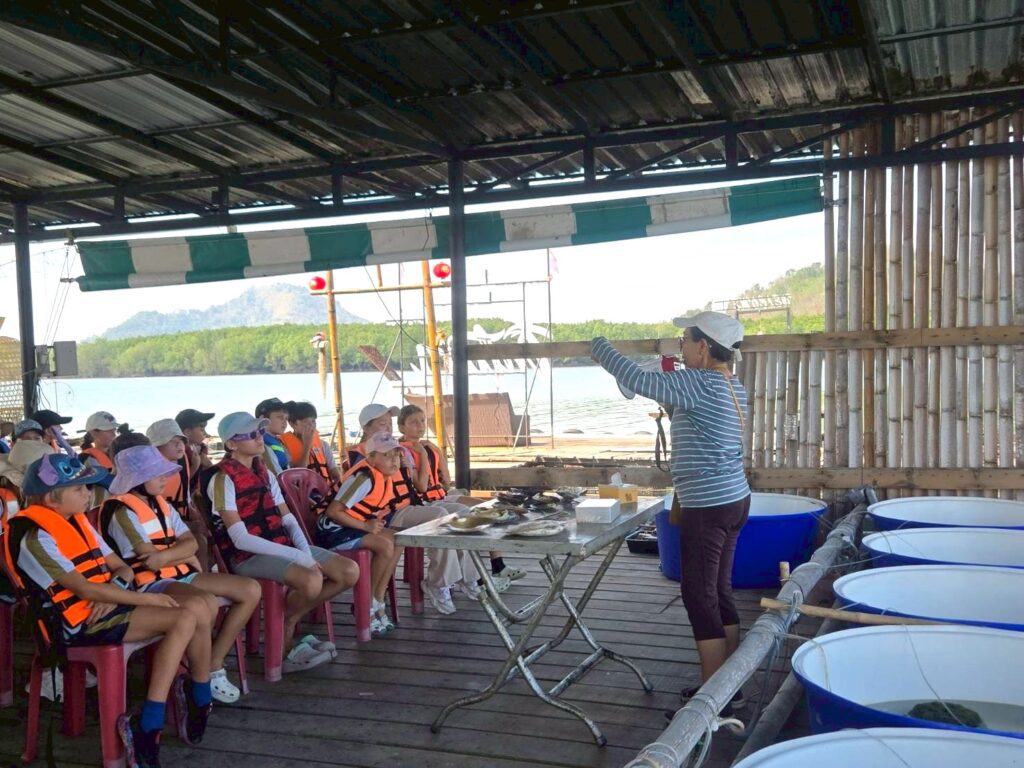 Primary Field Trip to Intara Farm